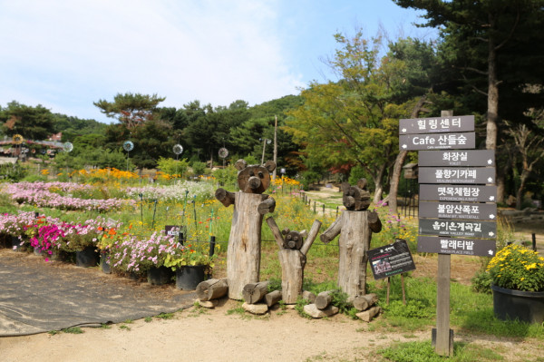 경잡협 팀장 심화교육 